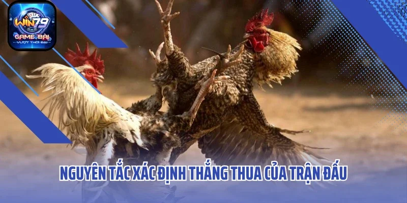 Nguyên tắc xác định thắng thua của trận đấu