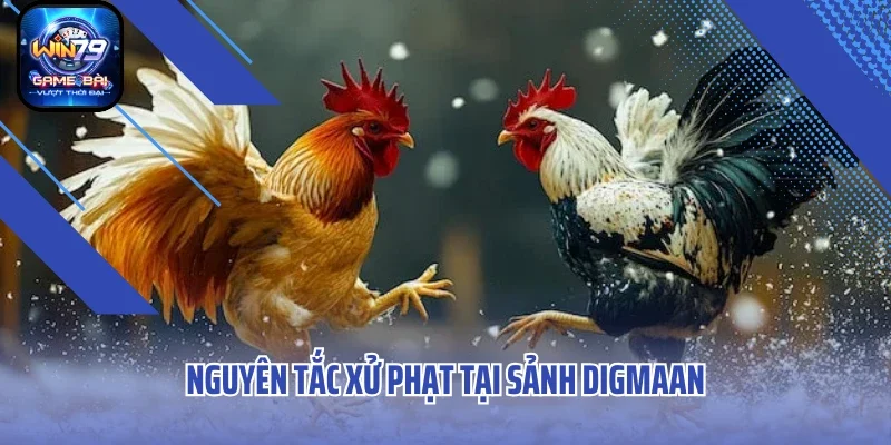 Nguyên tắc xử phạt tại sảnh Digmaan