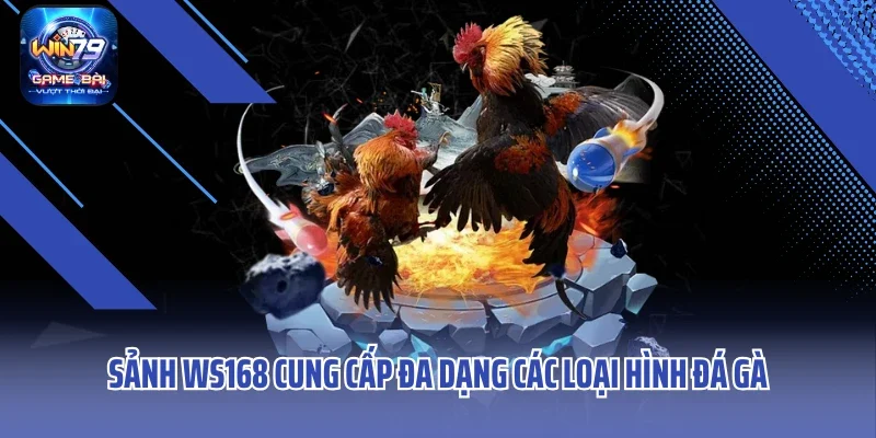 Sảnh WS168 cung cấp đa dạng các loại hình đá gà