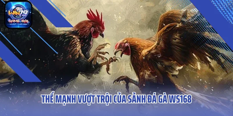 Thế mạnh vượt trội của sảnh đá gà WS168